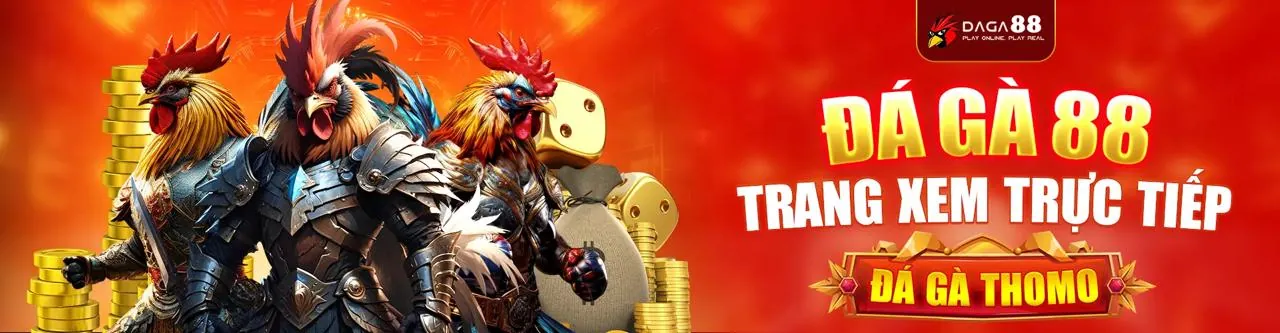 Các trò chơi giải trí tại Bigbet