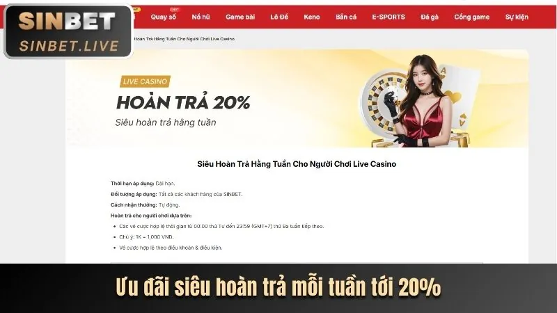 Hoàn Trả Hàng Tuần Cho Đá Gà